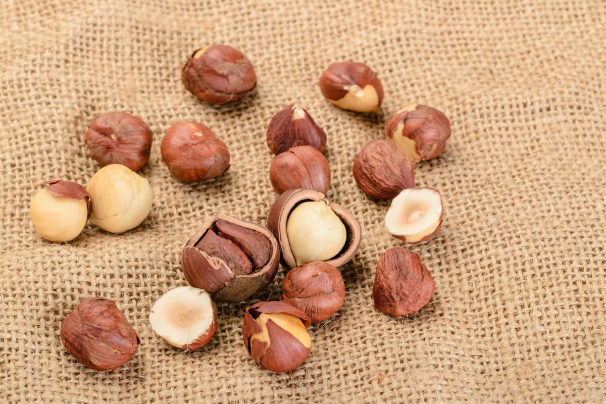 Des astuces pour monder vos noisettes facilement