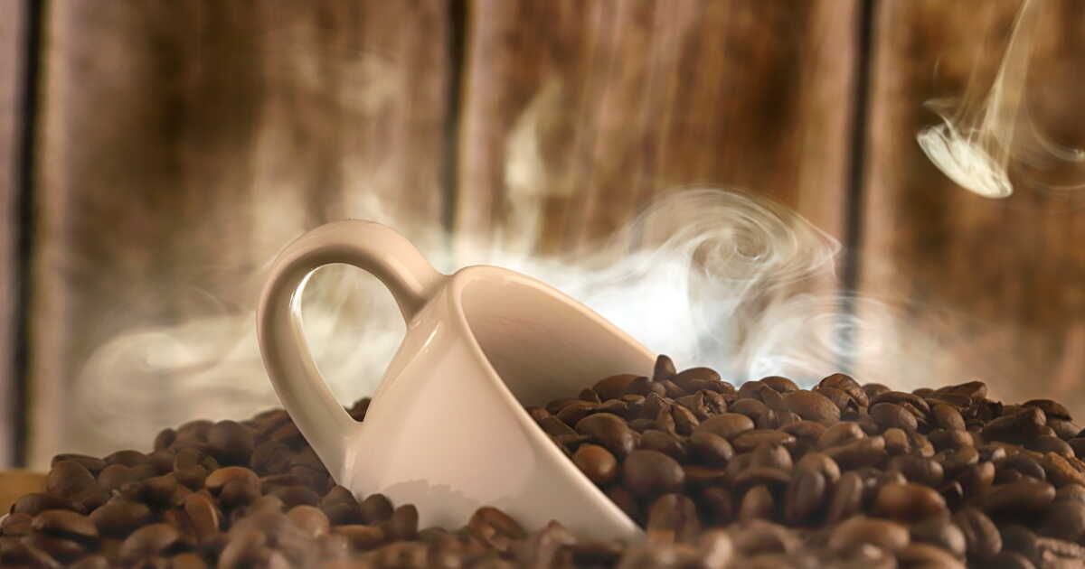 les secrets d'un bon café : guide pour choisir un grain de qualité