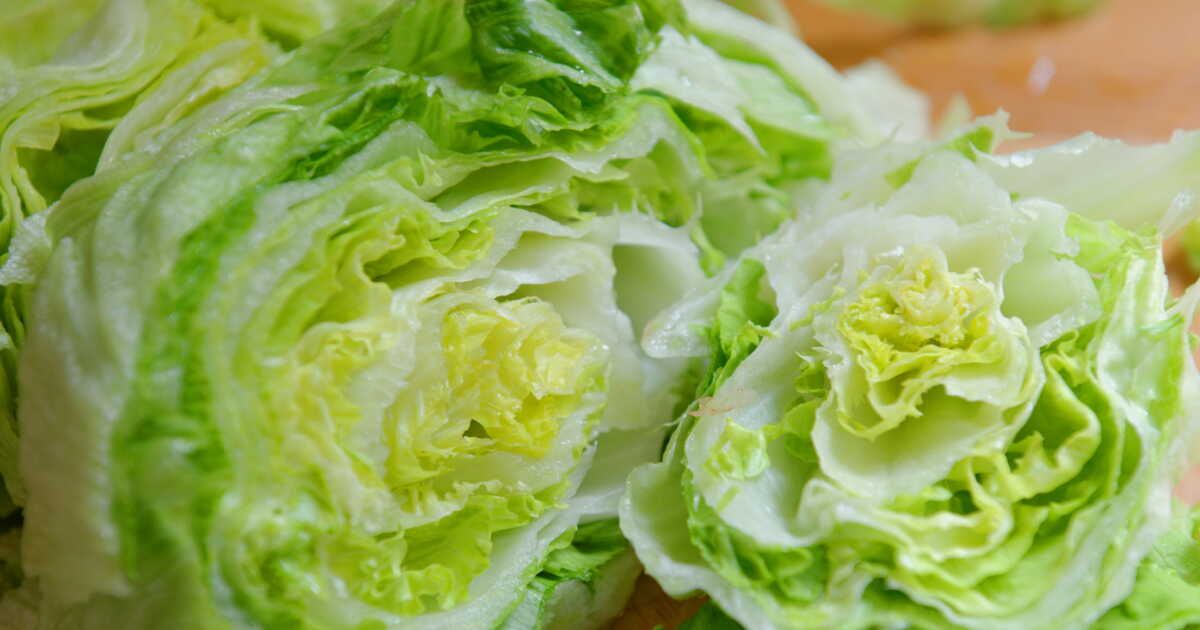 Faut-il vraiment laver la salade iceberg ?