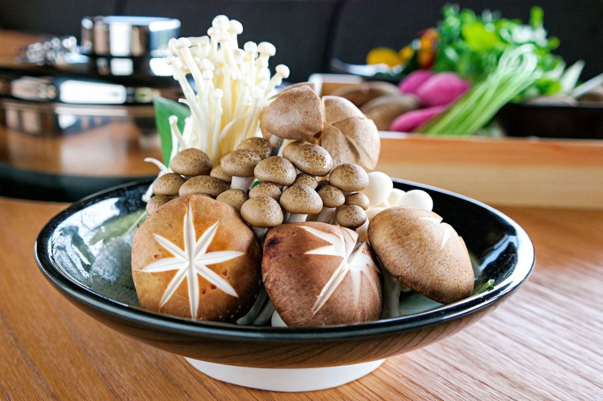 Un champignon miracle pour protéger le foie