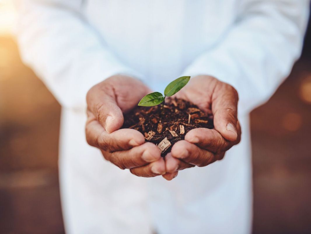 Adopter le régime one health : 9 étapes vers une alimentation durable