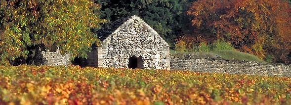 À la découverte des joyaux cachés de la Bourgogne