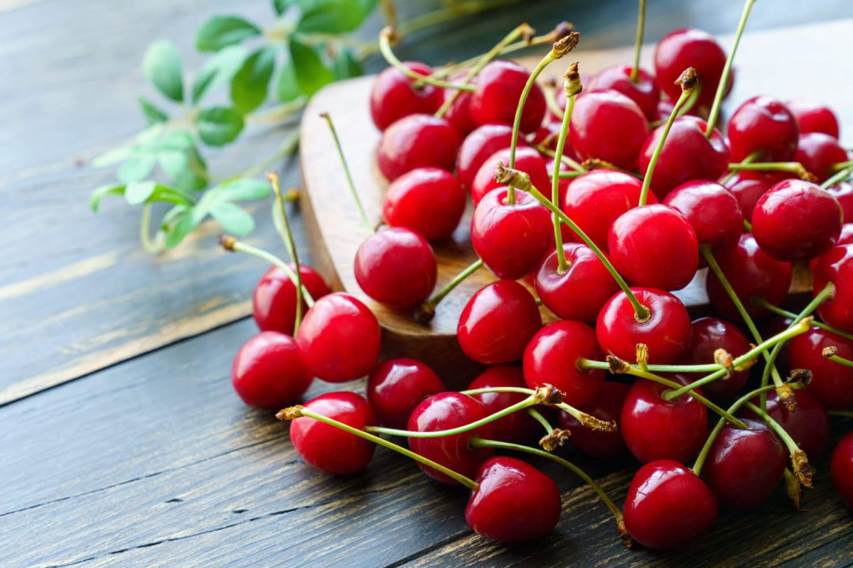 Comment bien conserver des cerises ?