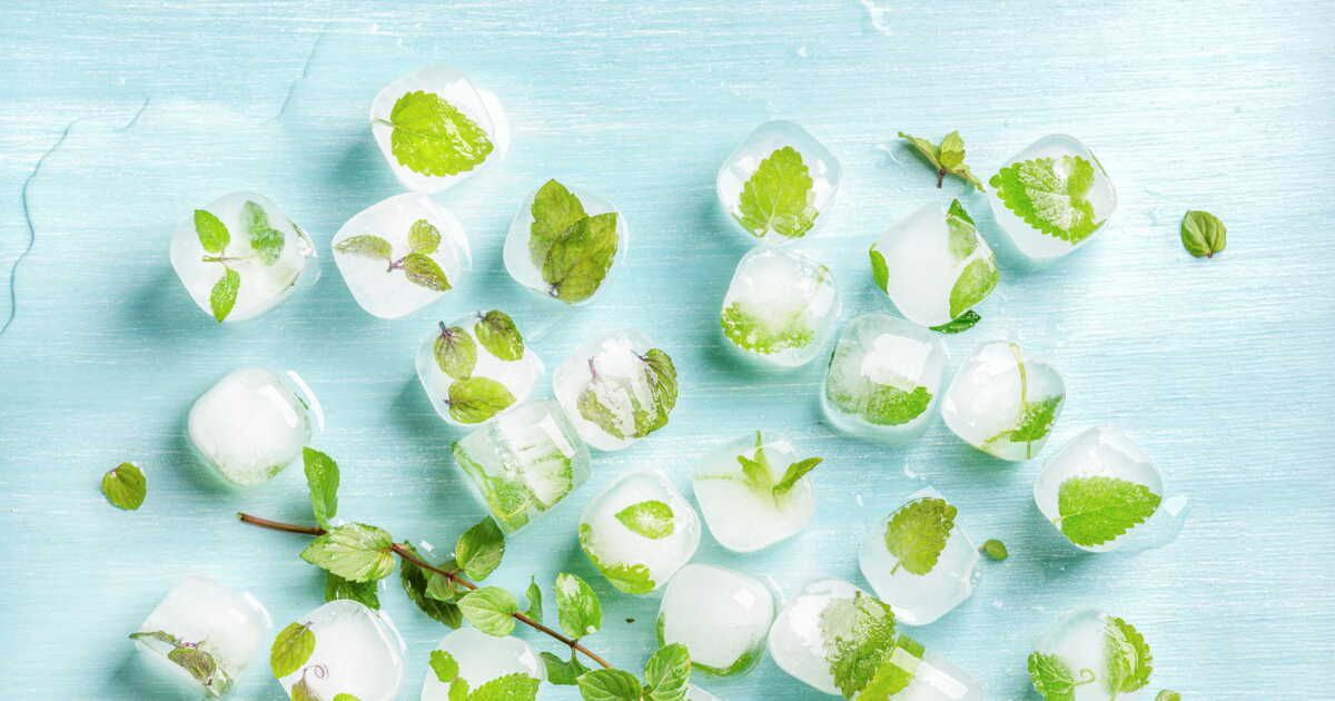 Les secrets pour bien congeler la menthe