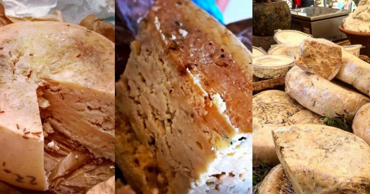 Le casu marzu, entre tradition et danger : le fromage à larves au goût controversé