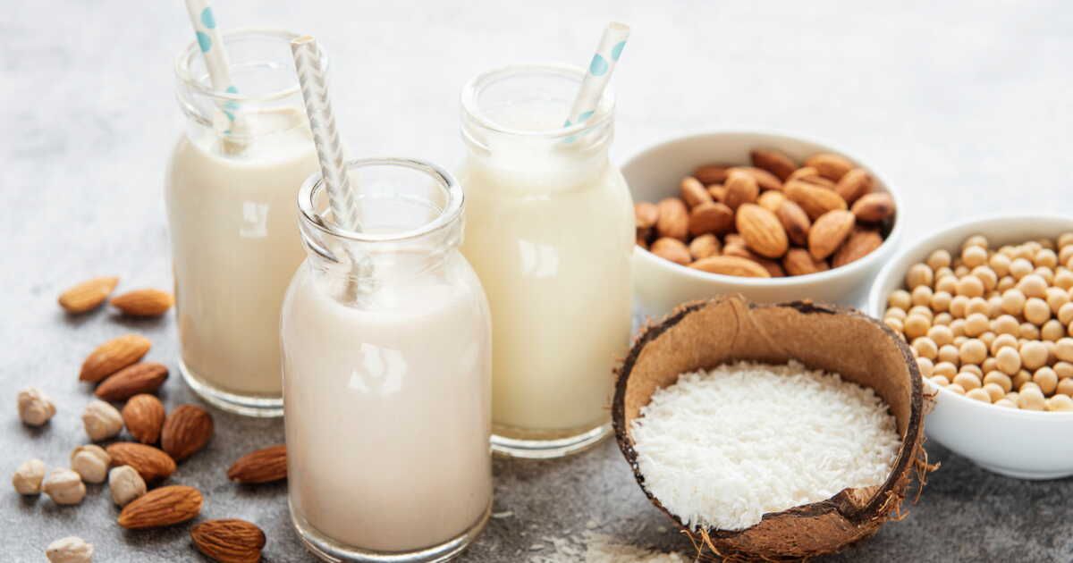 Le guide ultime des laits végétaux : choisissez le bon pour vos recettes