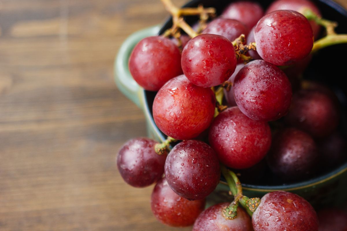 Le raisin, ce superfruit de la rentrée qui booste votre santé