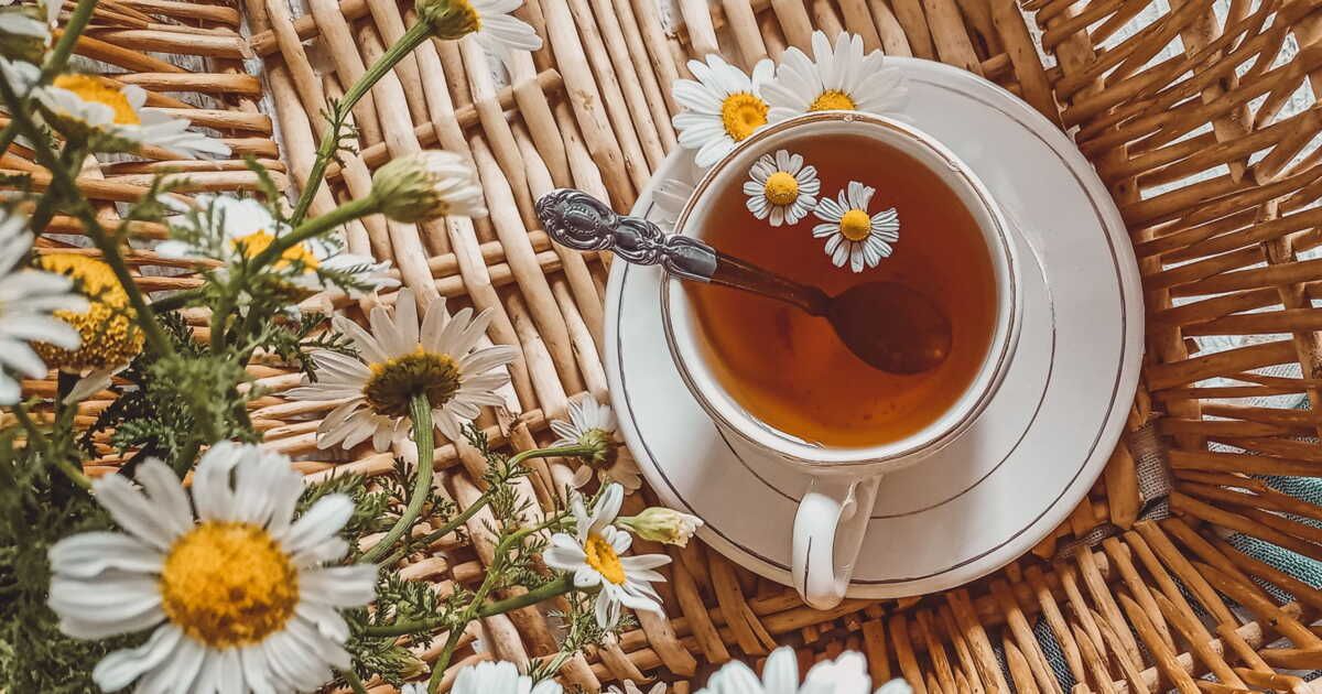 Tisane ou thé : le guide pour choisir votre boisson chaude idéale