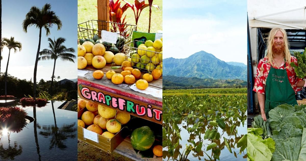 découverte gourmande à hawaï : entre traditions et innovations