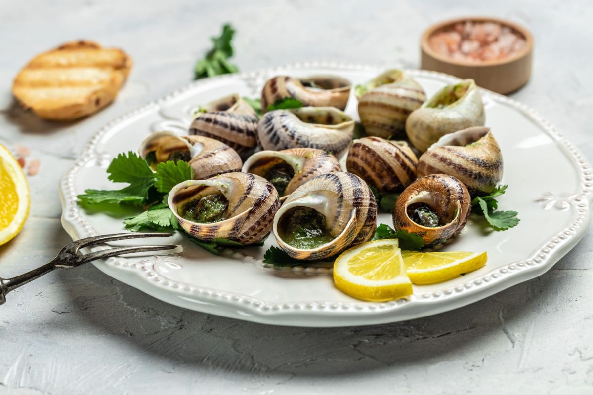Les secrets d'une cuisson parfaite des escargots