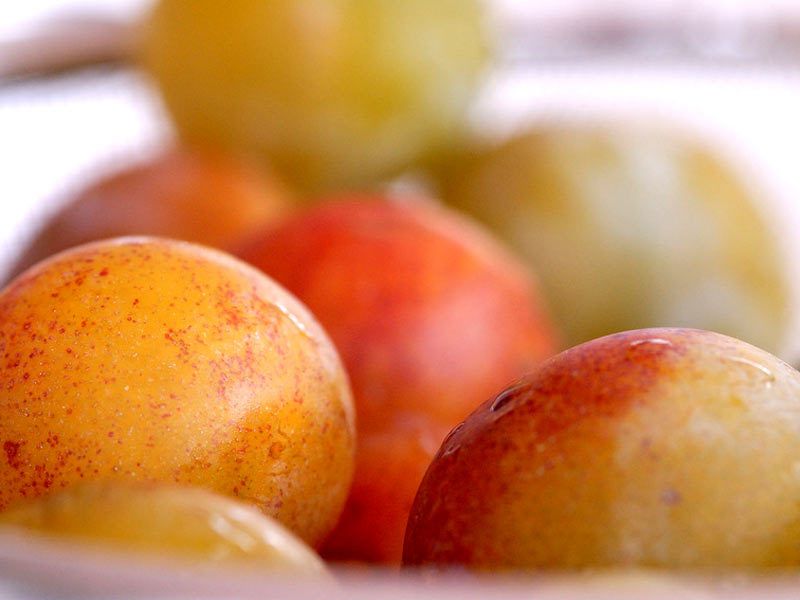 La mirabelle, un allié minceur insoupçonné