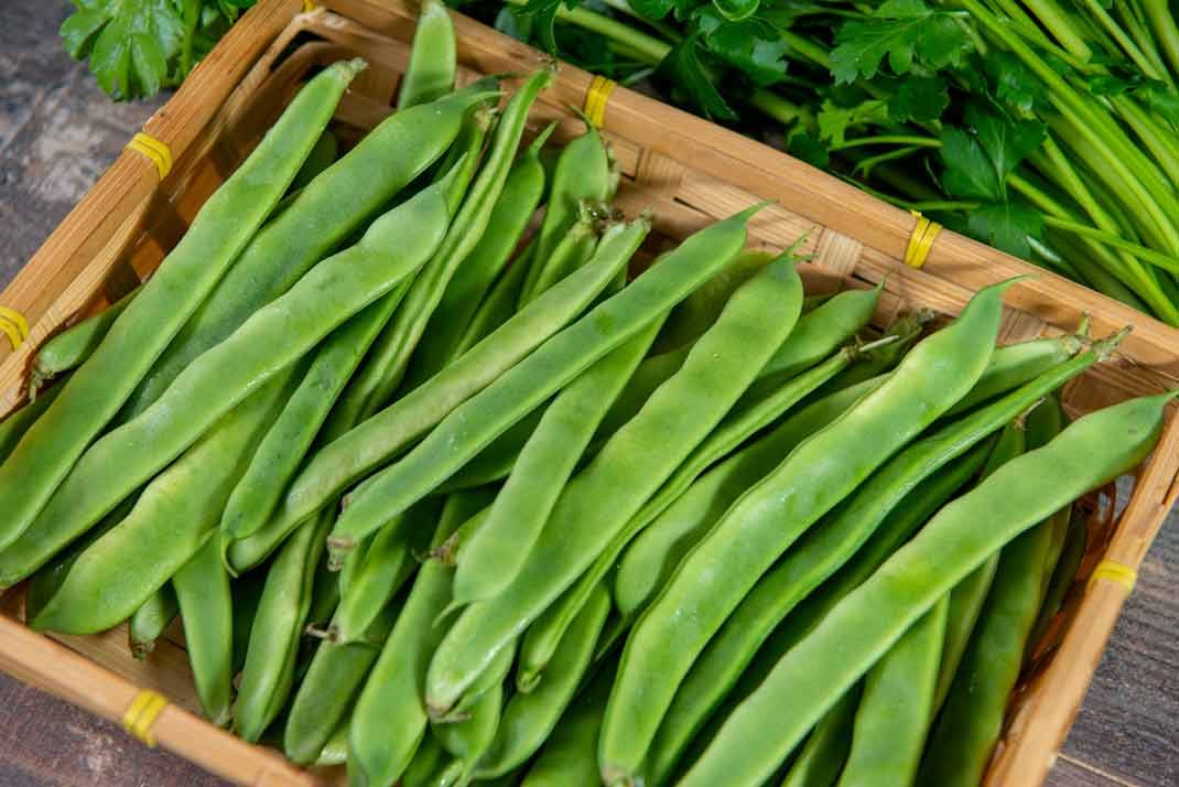 Les secrets de la cuisson des haricots plats