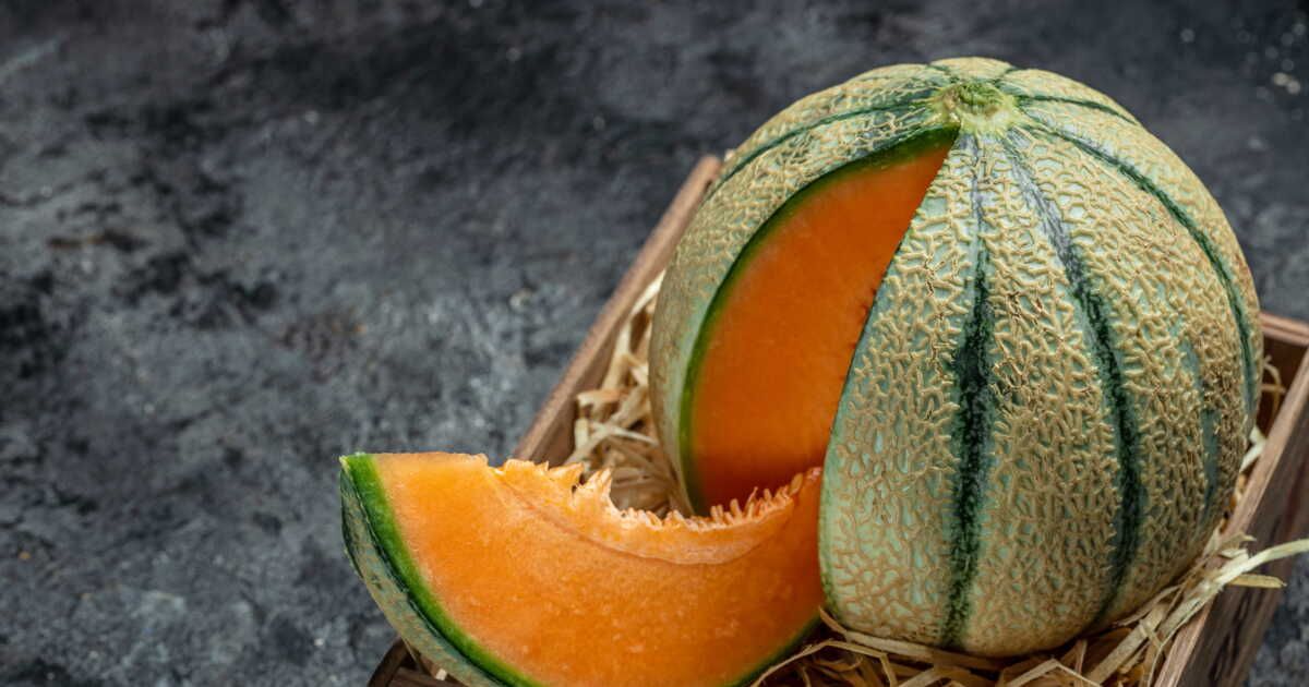 Le melon de Cavaillon, un délice estival à savourer sans modération