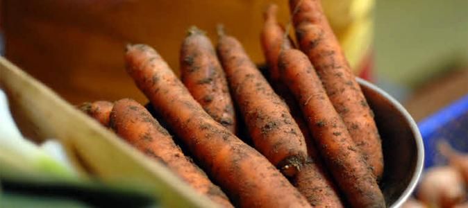 À la découverte des Amap : une agriculture proche de chez vous