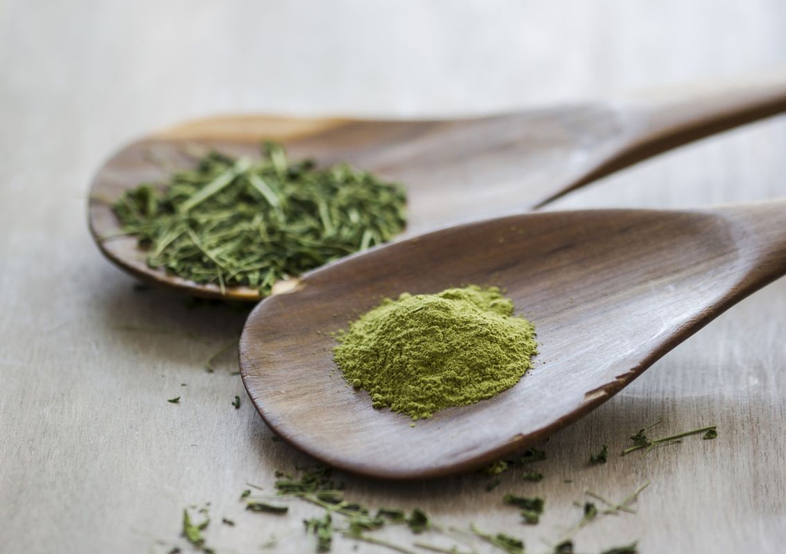 Découvrez les secrets de la poudre de moringa pour une santé éclatante