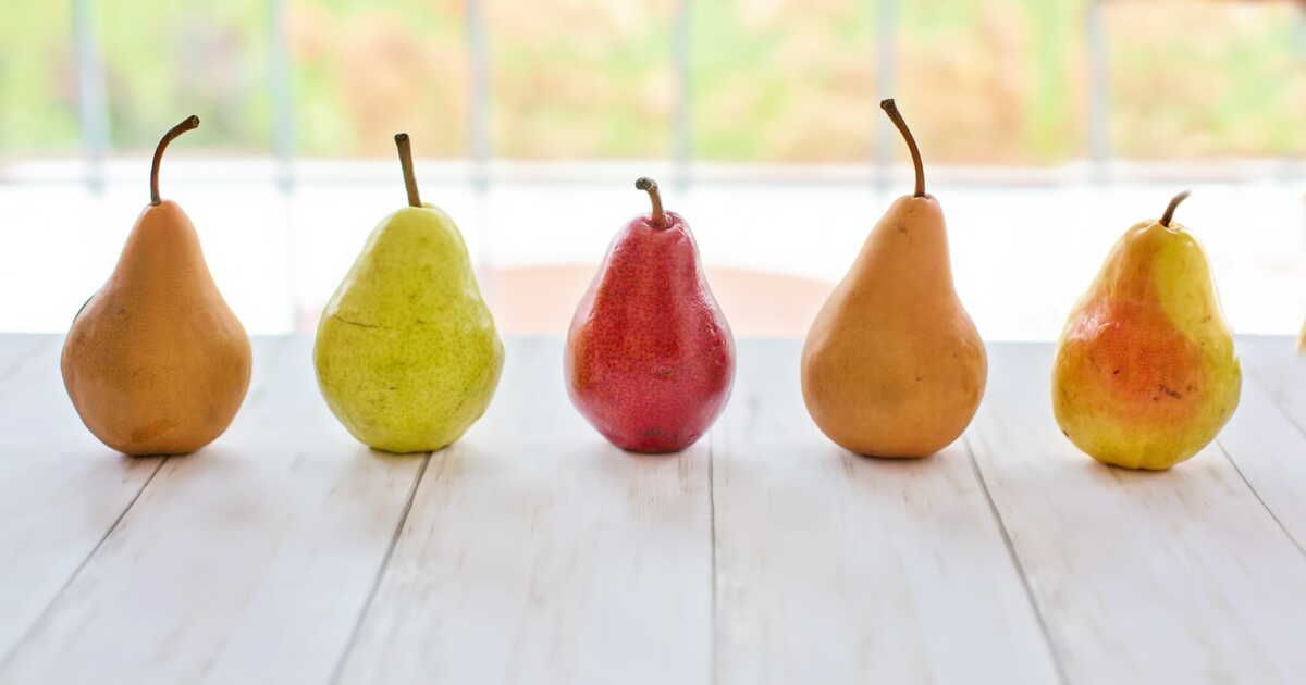 Variétés de poires : un festival de saveurs en automne