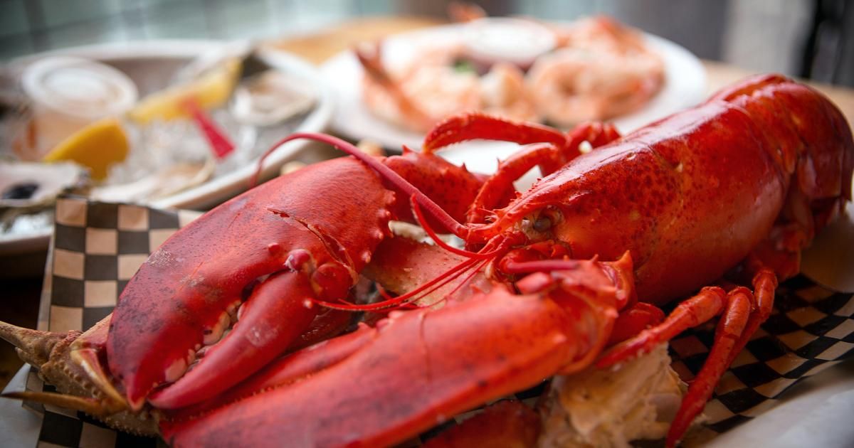 Guide pratique pour reconnaître homard, langouste et langoustine