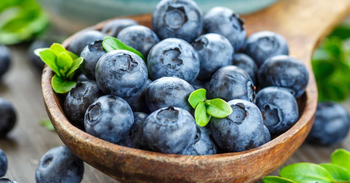 Les bienfaits insoupçonnés des myrtilles : un superfruit pour votre santé
