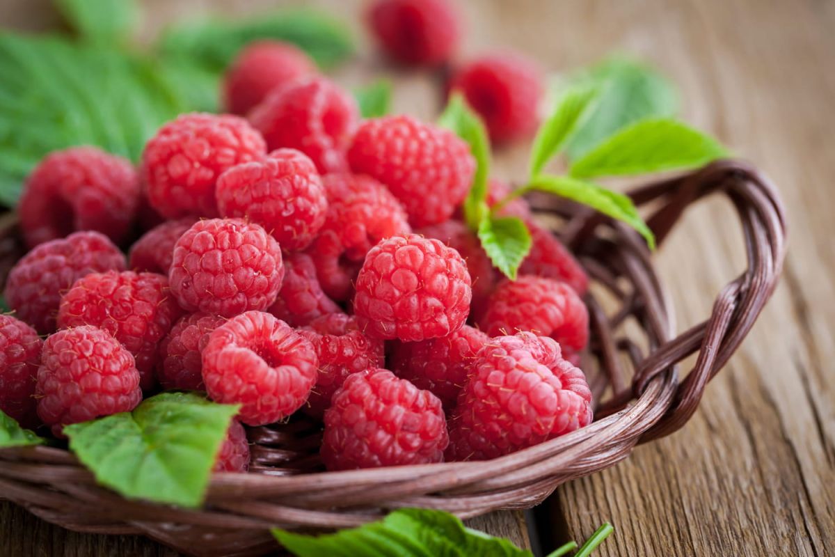 Comment retirer les pépins des framboises facilement