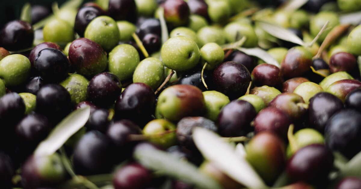 Olives à l'apéritif : guide pour un choix savoureux